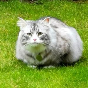 Meet your Posher, Ali